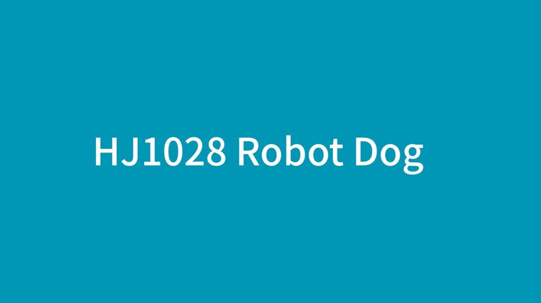 HJ1028 Robot Dog